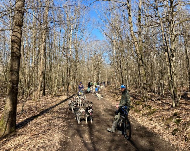 Gemeinsam Touren fahren - mit unser Öffentlichkeitsbeauftragten Conny und ihren sechs Malamuten