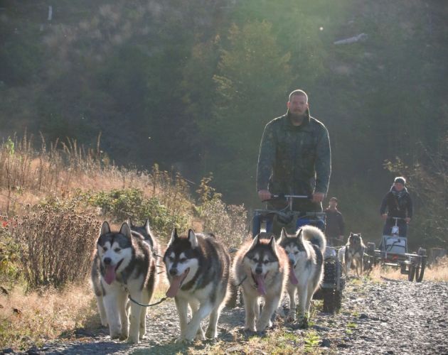 DSLT Saisonstart in Tettau 2023 - Patrick (Beauftragter für Neumitglieder und Jugendarbeit) mit seinen sechs Malamuten