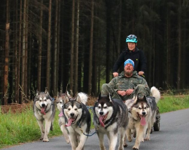 Jungmusher Ben mit seinen 6 Malamuten und Papa Patrick beim Saisonauftakt in Tettau 2023